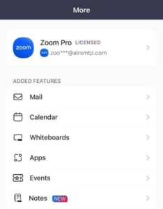 buy zoom one pro account in cheap